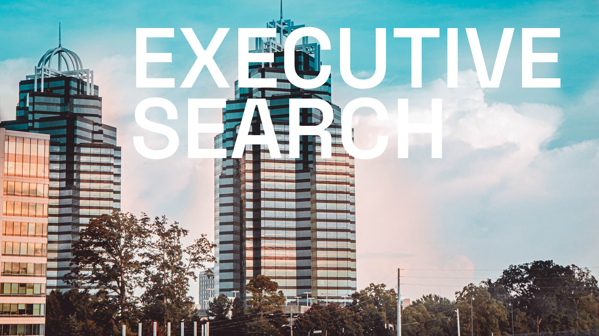 The Evolving World of Executive Search Cover Image